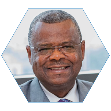 M. Josué Rodrigue NGOUONIMBA